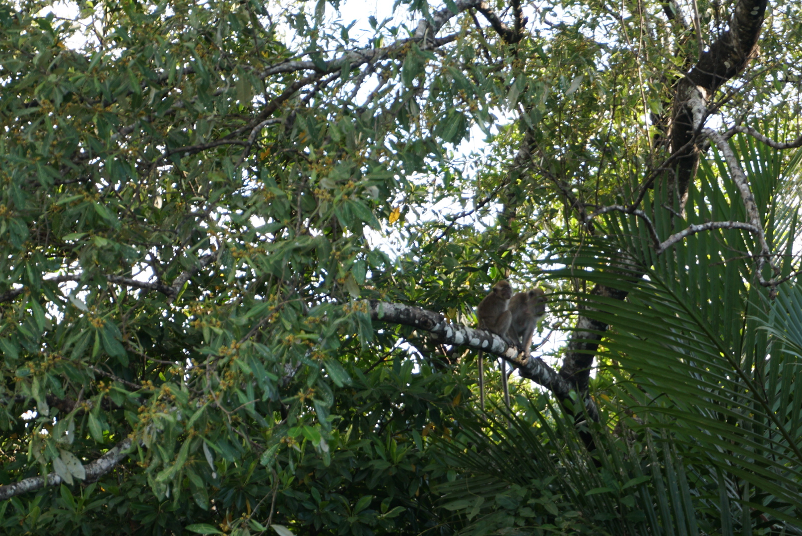 IMG_7901.JPG